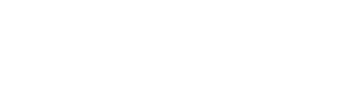 free website,cheap website,bebizzy launch