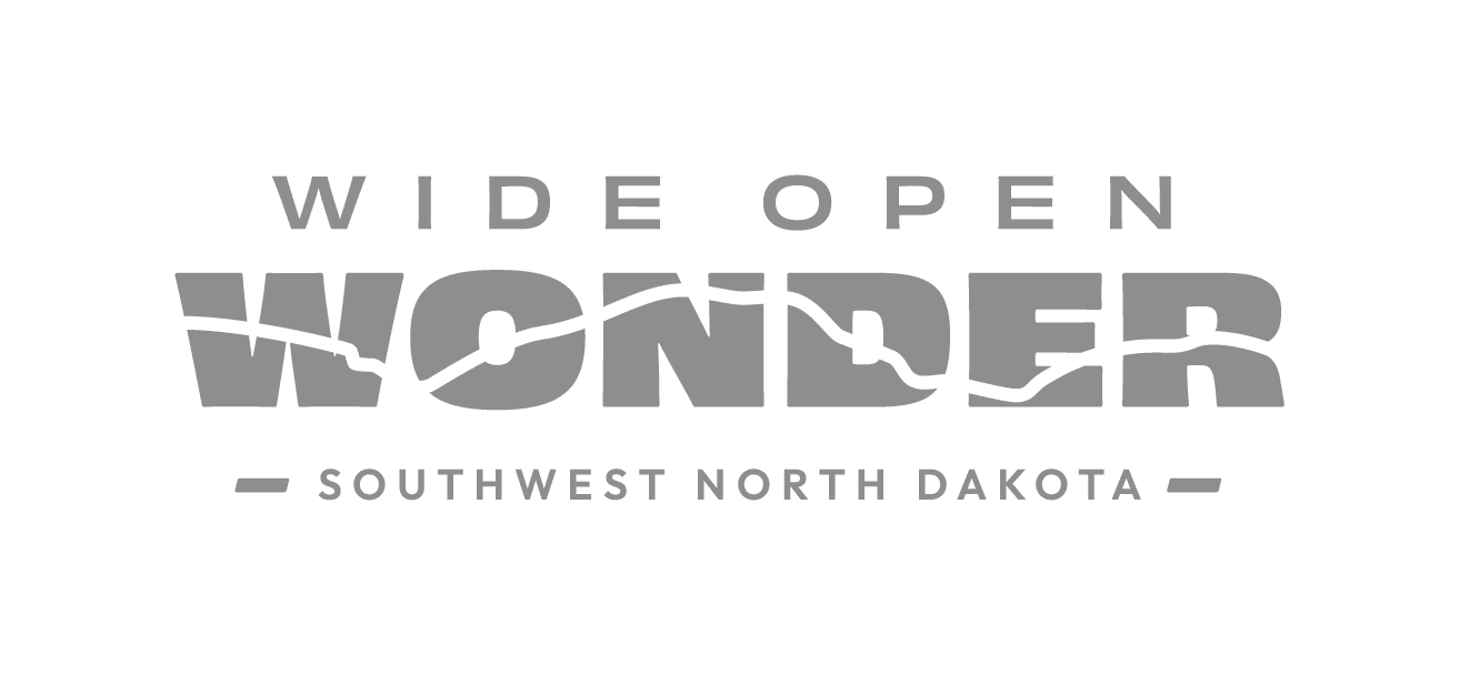 north dakota wordpress,north dakota website