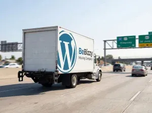 beizzy migration van