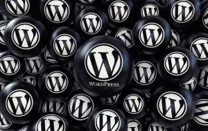 wordpress buttons black