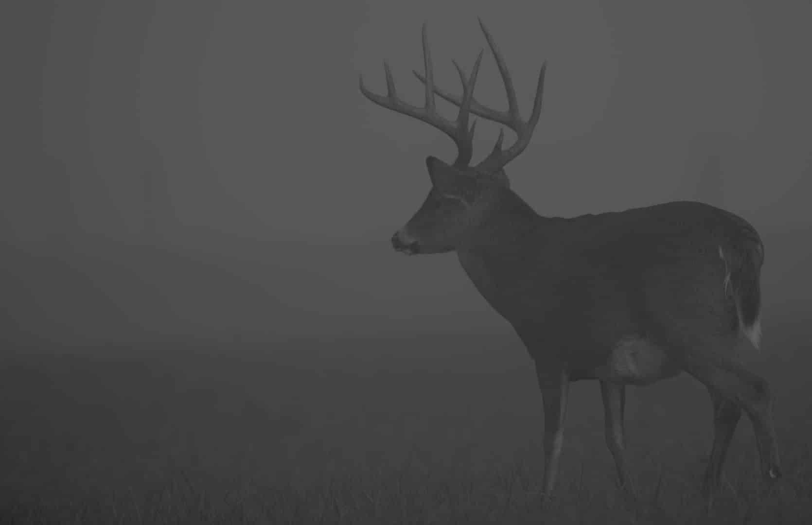 north dakota wordpress,north dakota website