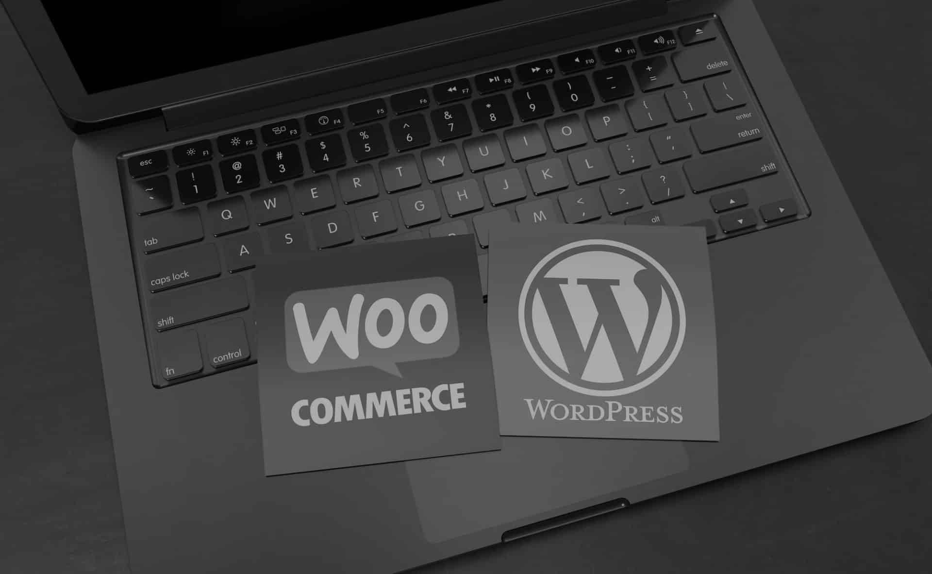 north dakota wordpress,north dakota website